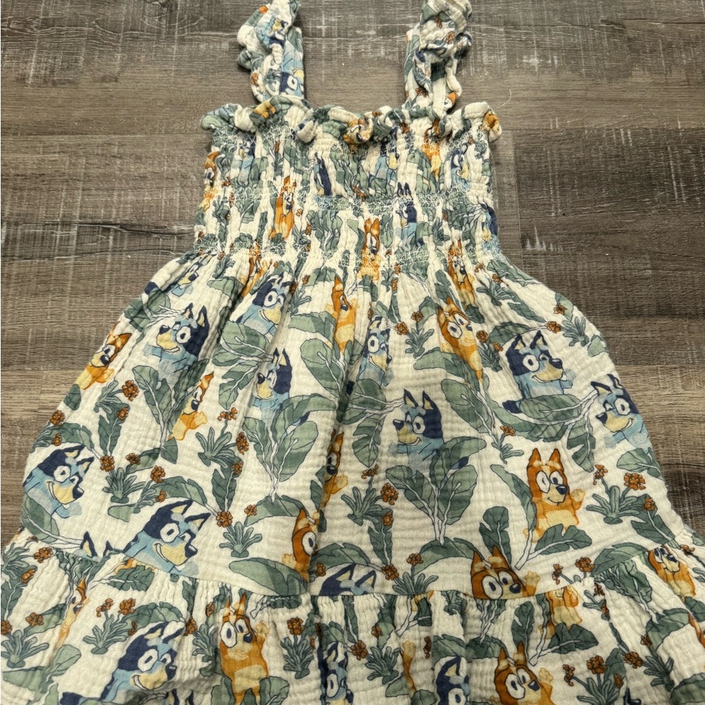 Bluey Print Dress